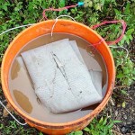 Lebone Battery (Microbial Fuel Cell)
