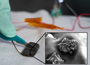stanford-university-self-healing-touch-plastic